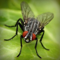 /album/hxwlhs/photolia-a01-jpg/