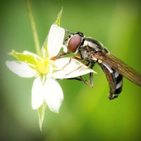 /album/hxwlhs/photolia-a02-jpg/