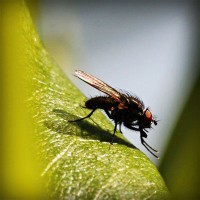 /album/hxwlhs/photolia-a04-jpg/