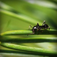 /album/hxwlhs/photolia-a05-jpg/