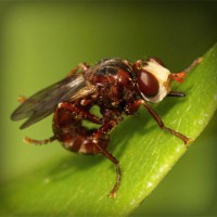 /album/hxwlhs/photolia-a06-jpg/