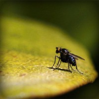 /album/hxwlhs/photolia-a07-jpg/