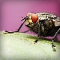 /album/hxwlhs/photolia-a08-jpg/